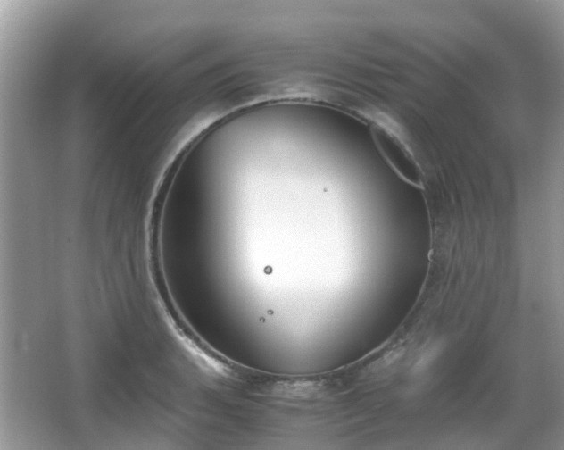 X0000063521135200601231509