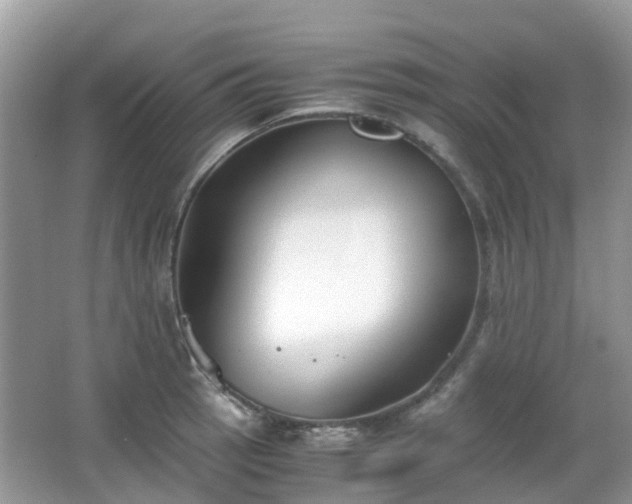 X0000063521137200601231509