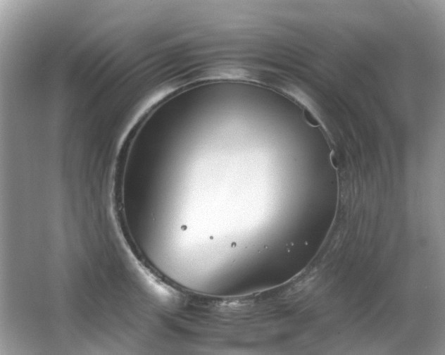 X0000063521139200601231509