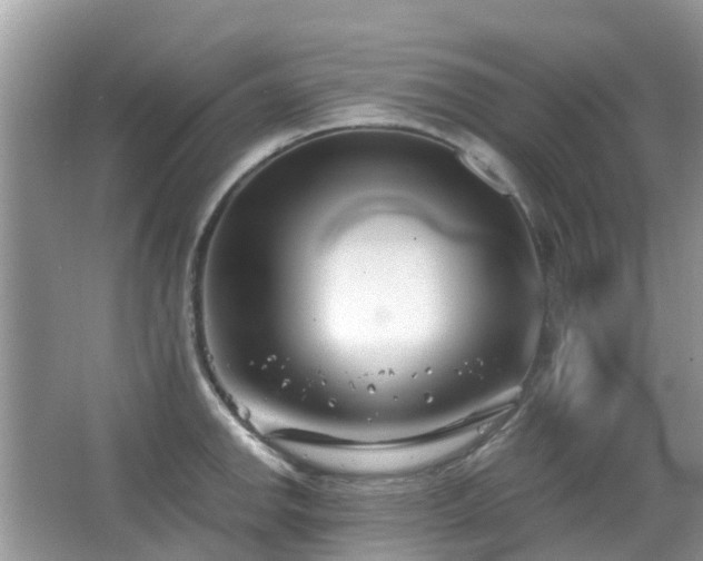 X0000063521142200601231509