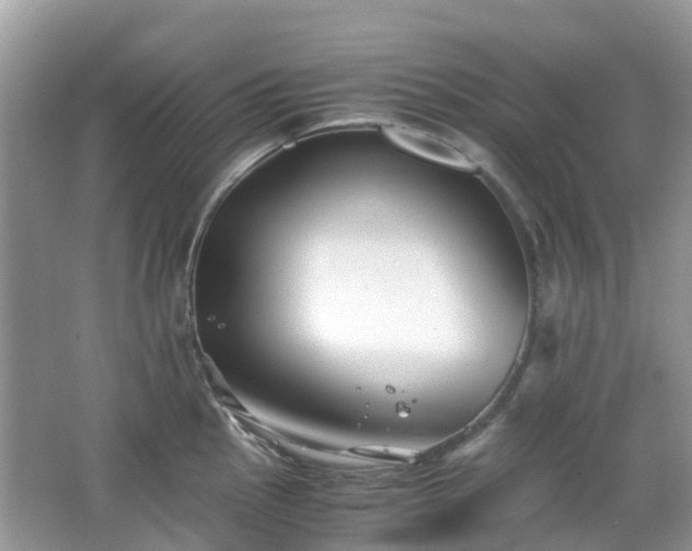 X0000063521145200601231509