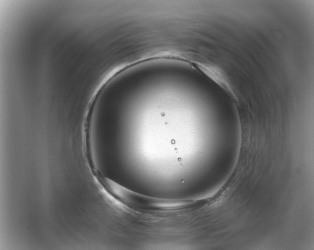 X0000063521151200601231509