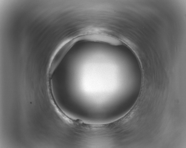 X0000063521152200601231509