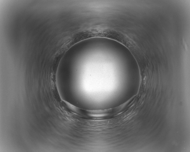 X0000063521156200601231508