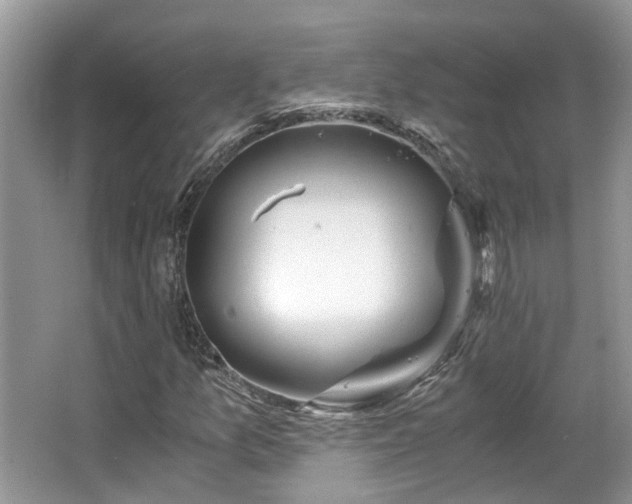 X0000063521157200601231508