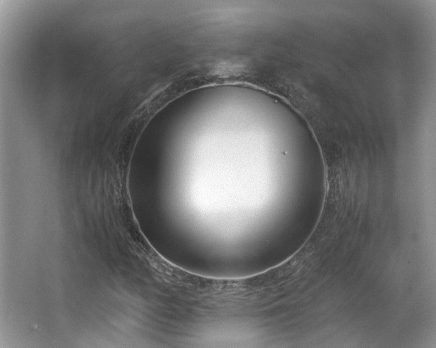 X0000063521158200601231508