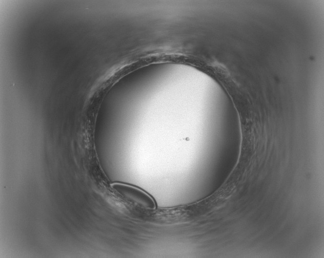 X0000063521159200601231508