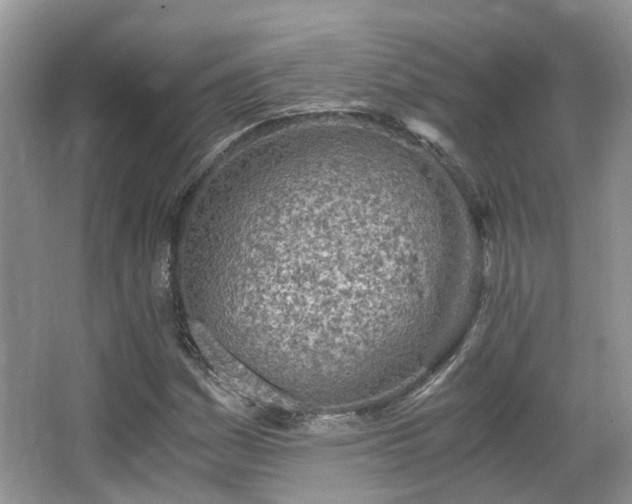 X0000063521161200601231508