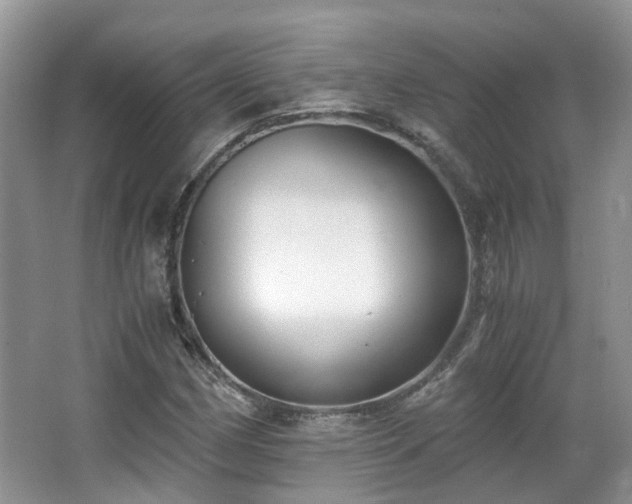 X0000063521162200601231508