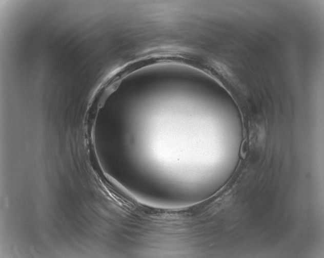 X0000063521164200601231508