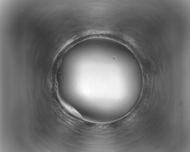 X0000063521165200601231508