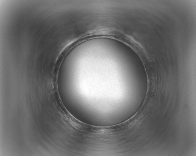 X0000063521166200601231508