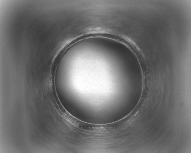 X0000063521167200601231508