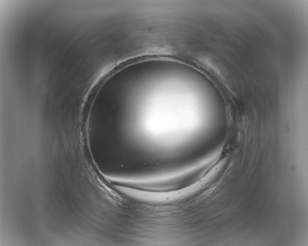 X0000063521168200601231508