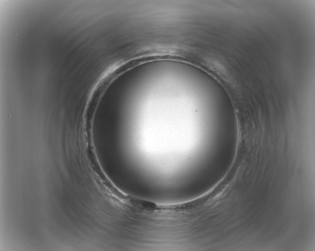 X0000063521172200601231508