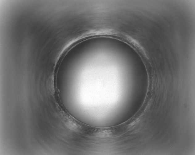 X0000063521174200601231508