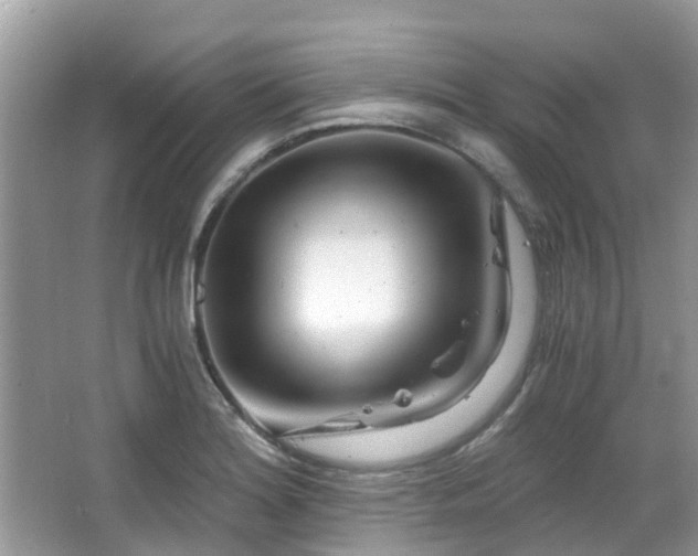 X0000063521180200601231508