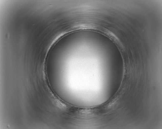 X0000063521182200601231508