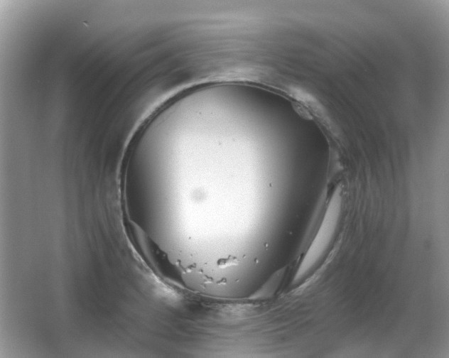 X0000063521184200601231508