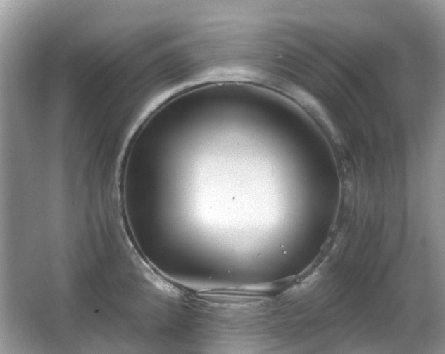 X0000063521192200601231507