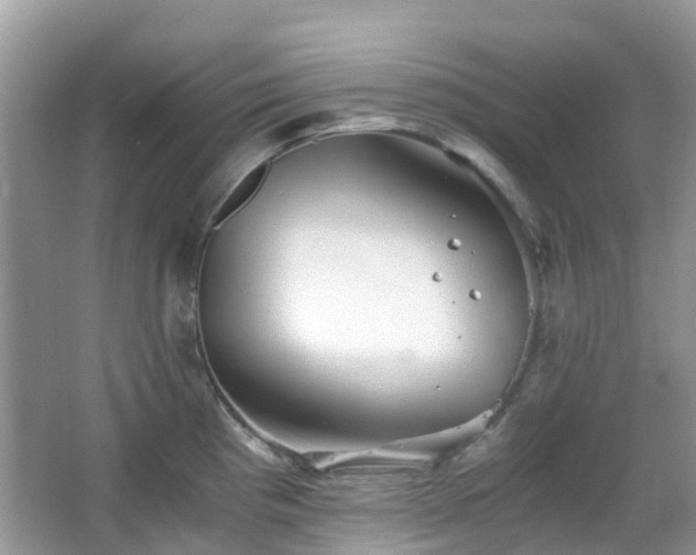 X0000063521193200601231507