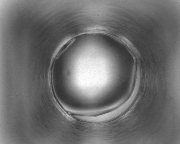 X0000063521196200601231507