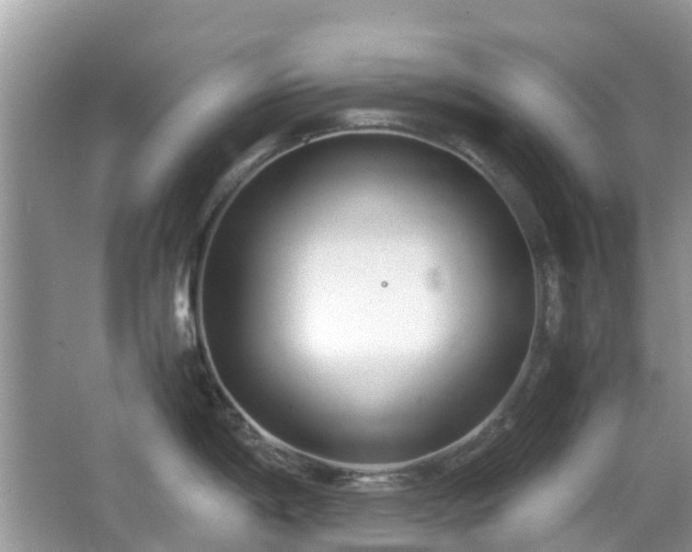 X0000063521198200601231507