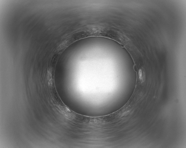 X0000063521203200601231507