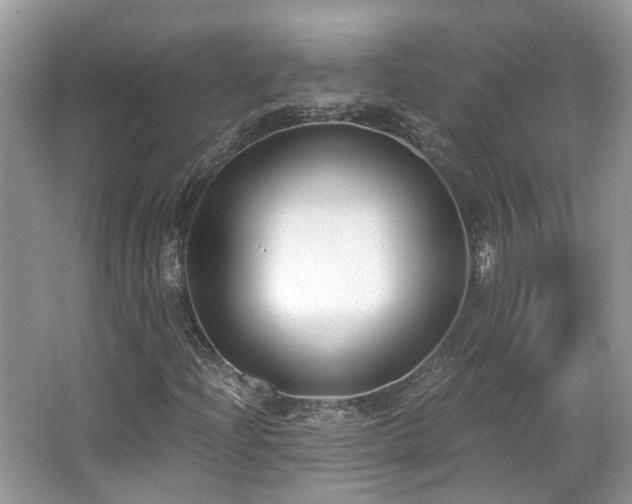 X0000063521204200601231507