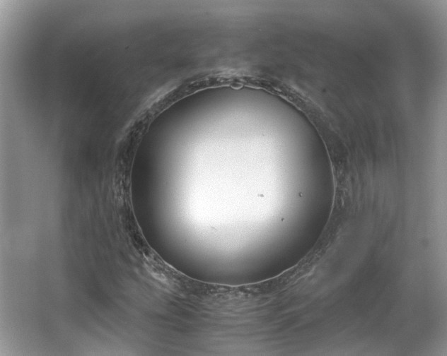 X0000063521207200601231507