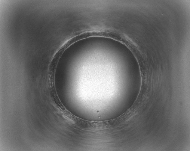 X0000063521208200601231507