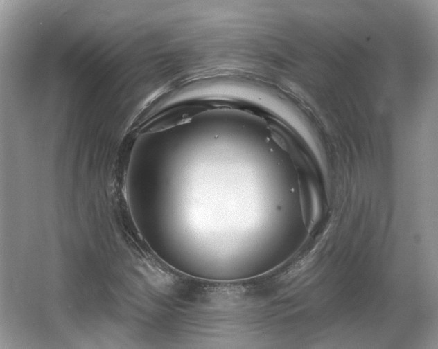 X0000063521210200601231507