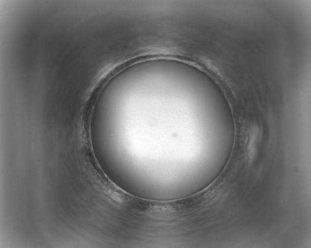 X0000063521215200601231507