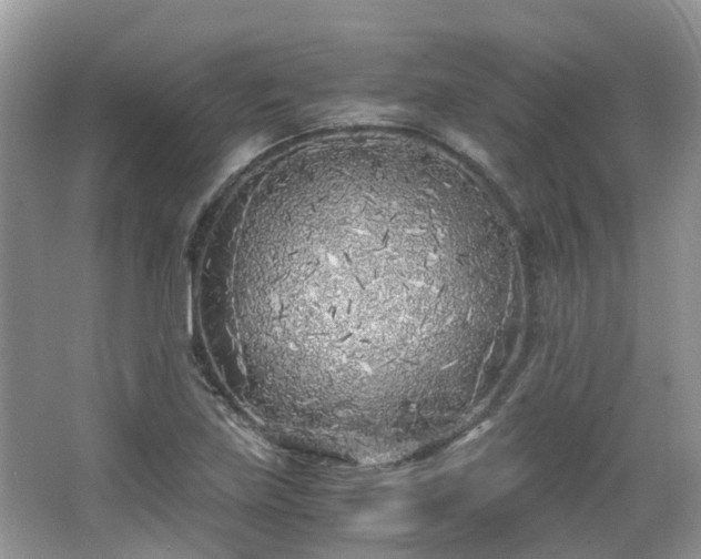 X0000063521219200601231507