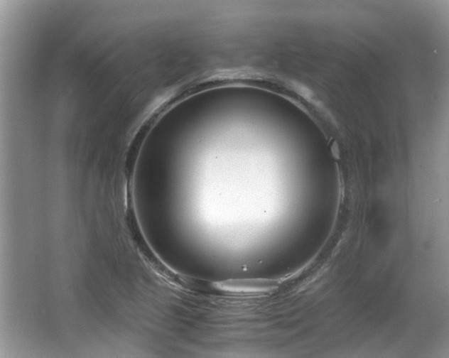 X0000063521221200601231507