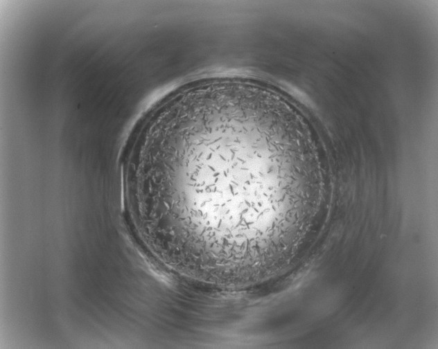 X0000063521223200601231507