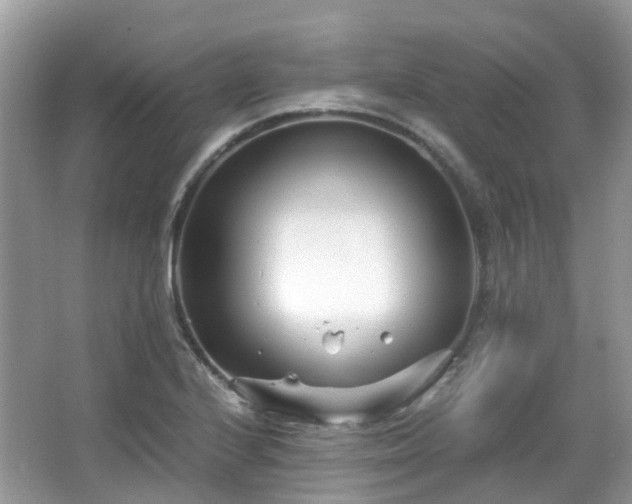 X0000063521224200601231507