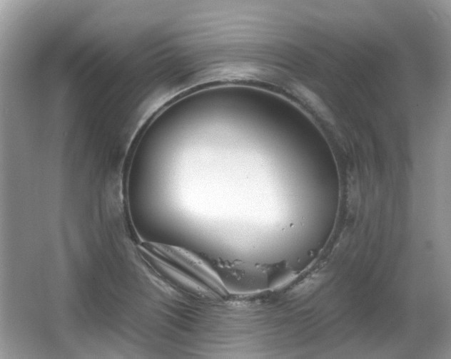 X0000063521226200601231507