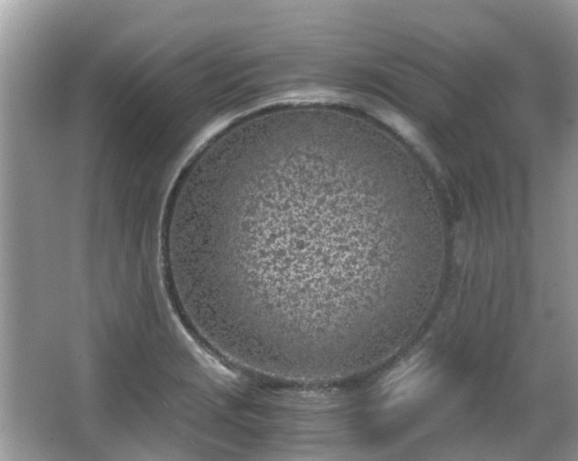 X0000063521229200601231507