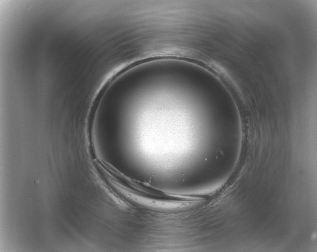 X0000063521230200601231507