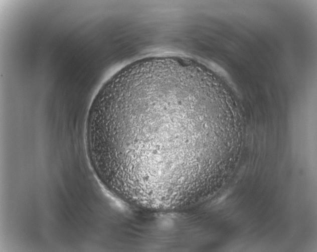 X0000063521231200601231507