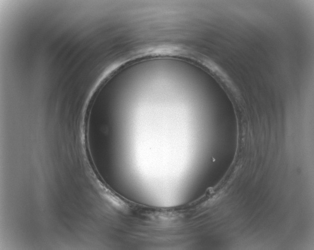 X0000063521232200601231507