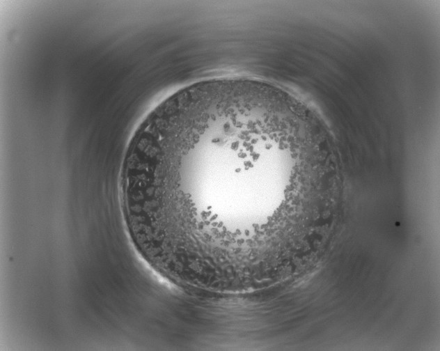 X0000063521239200601231507