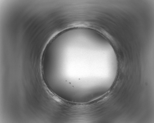 X0000063521240200601231507