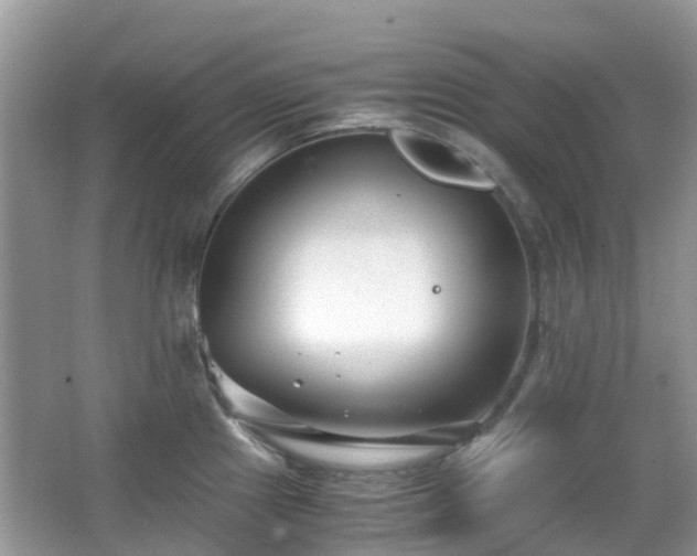 X0000063521241200601231507