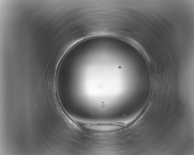 X0000063521244200601231507