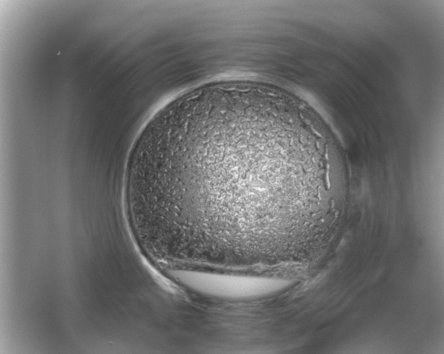 X0000063521245200601231507