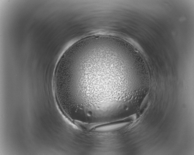 X0000063521247200601231507