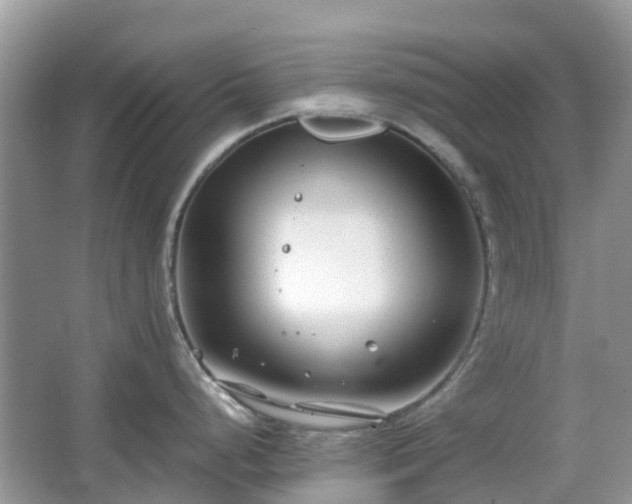 X0000063521248200601231507