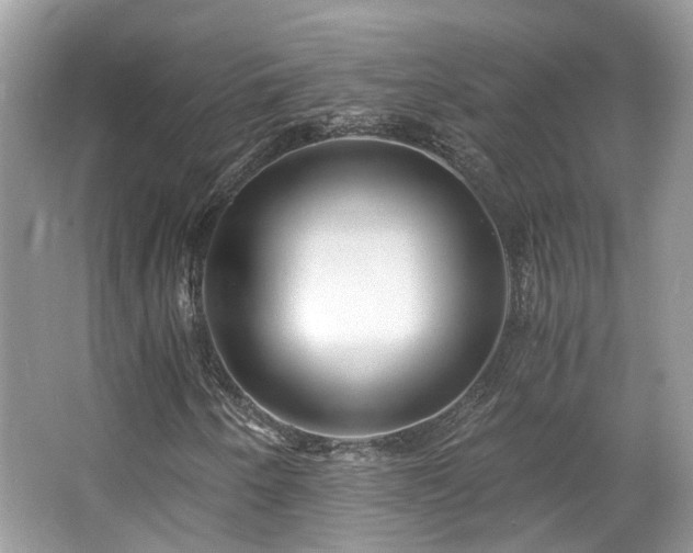 X0000063521250200601231506